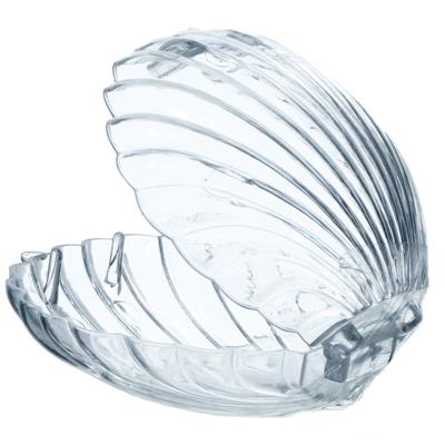 Schelp Plexi