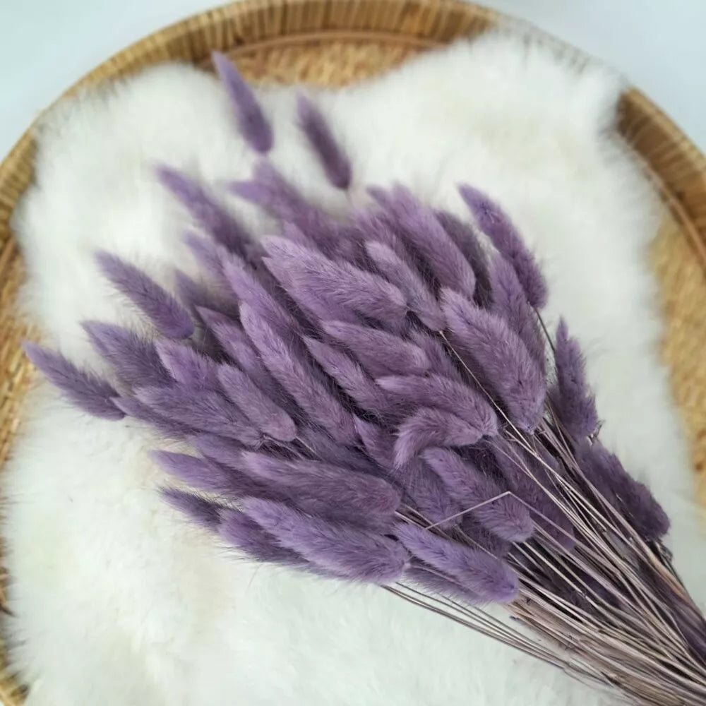 Droogbloem Lagurus +/-100g donker lila