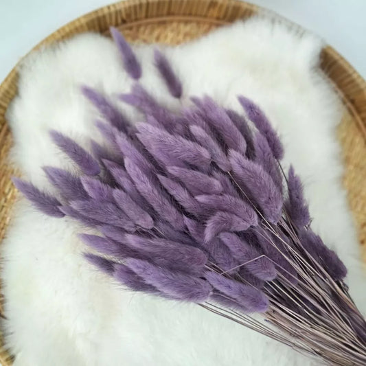 Droogbloem Lagurus +/-100g donker lila
