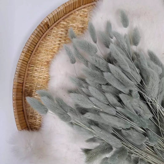 Droogbloem Lagurus +/-100g Kaki