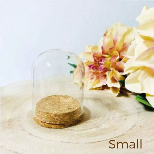 Glazen globe op kurk small